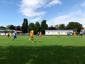 TV Pflugfelden - TV Echterdingen