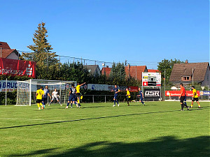 Remis in Hofherrnweiler