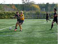 SGM 1.FC LL/Omonia - TV Echterdingen