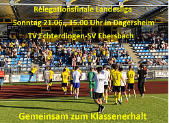 Relegationsfinale