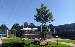 Terrasse Ristoraunte Pizzeria Goldäcker